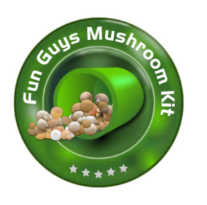 Logo Design by Infoway