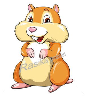 Illustration Design by Rasika Prasad