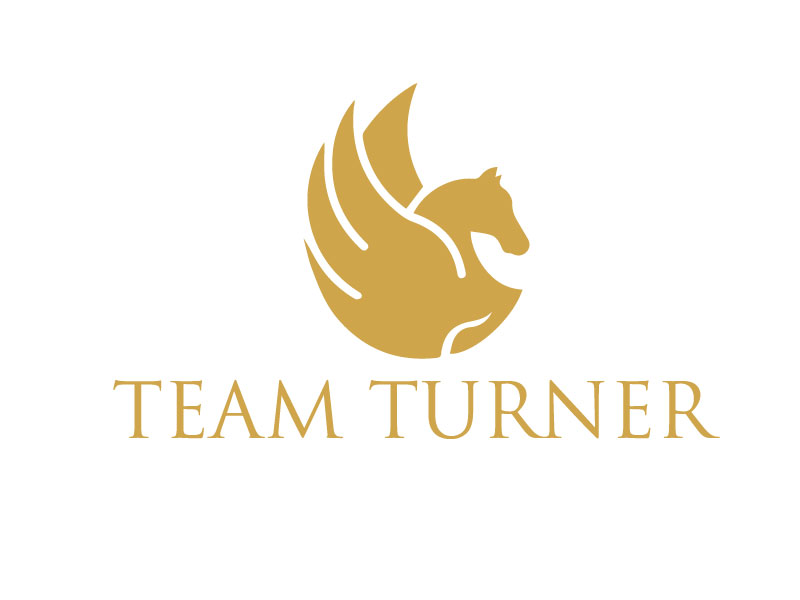 Diseño de Logo por Mehedi Hasan ™ para este proyecto | Diseño #9779423