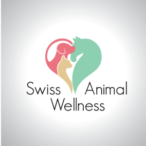 Logo Design by baltutyte91