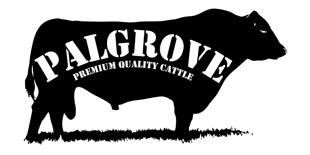 Logo Design by Nino Marano for this project | Design #2115565