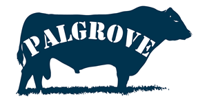 Logo Design by Nino Marano for this project | Design: #2115576