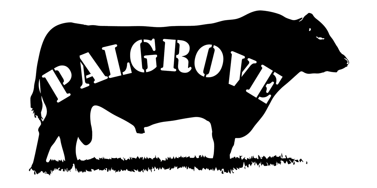 Design de Logo par Nino Marano pour ce projet | Design #2115582