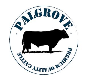Logo Design by Nino Marano for this project | Design: #2115588