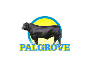 Logo Design by JOVIAL