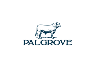 Logo Design by Sesecu for this project | Design #2116281