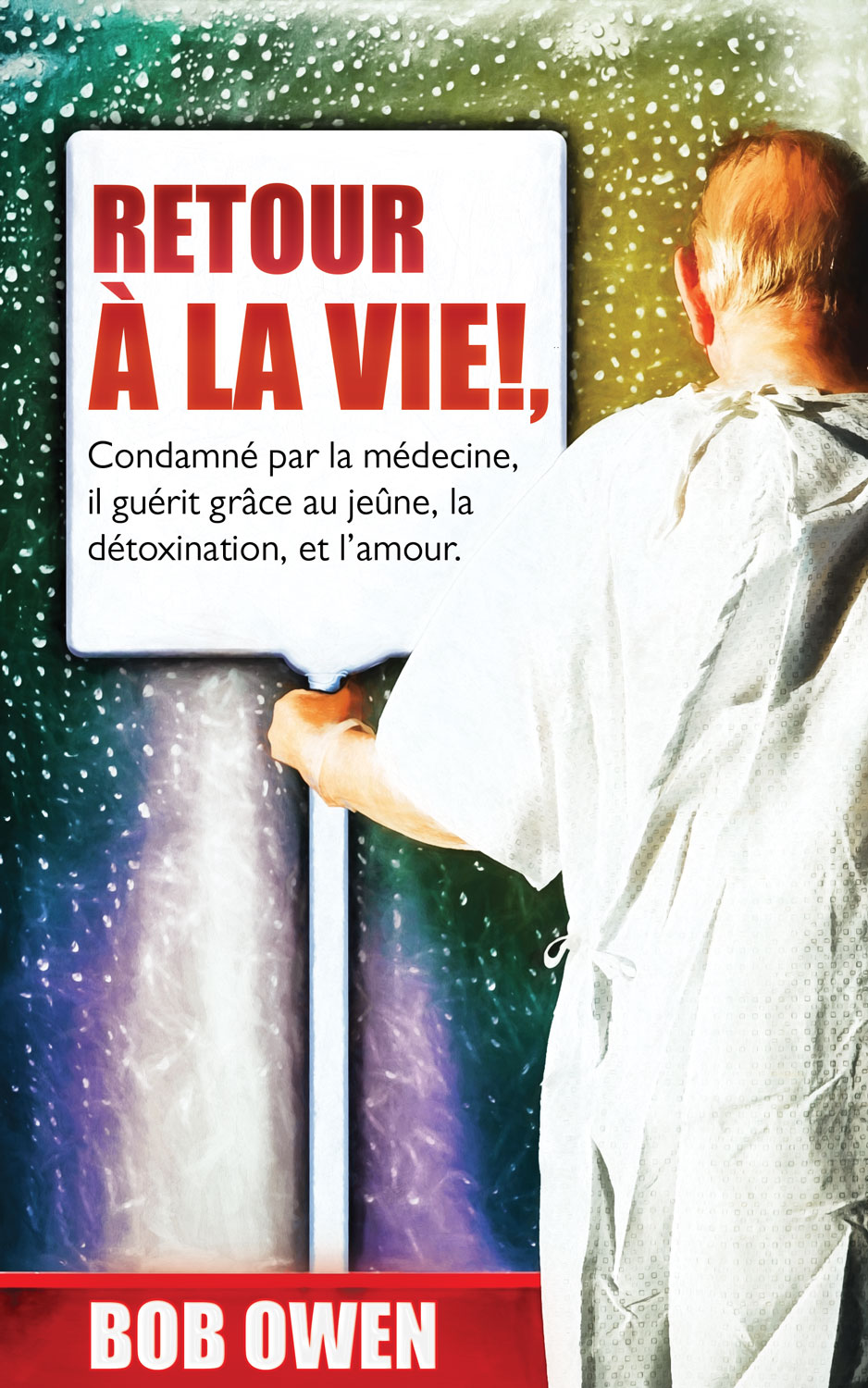 Book Cover Design by UrbainFX for Ahmara | Design #9949734