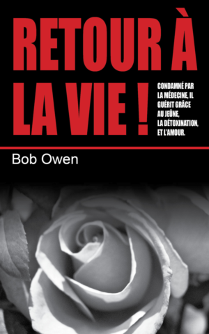 Book Cover Design by Katyas Art and Design for Ahmara | Design: #9851896