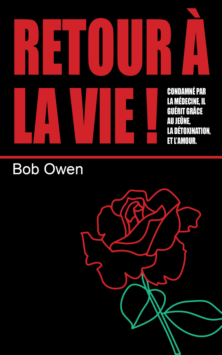 Buchumschlag Design von Katyas Art and Design für Ahmara | Design #9852415