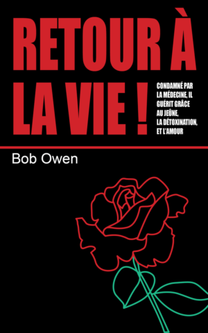 Book Cover Design by Katyas Art and Design for Ahmara | Design: #9852699