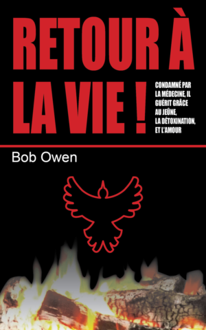 Book Cover Design by Katyas Art and Design for Ahmara | Design: #9852700