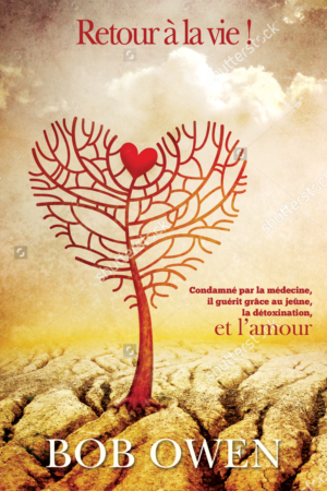 Design de Couverture de Livre par leuchi pour Ahmara | Design #9800733