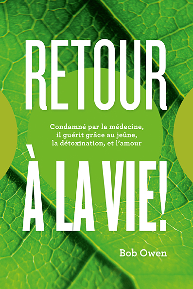 Book Cover Design by miklosgrafik for Ahmara | Design #9803347