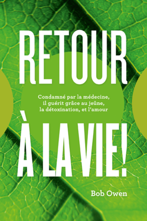 Book Cover Design by miklosgrafik for Ahmara | Design: #9803347