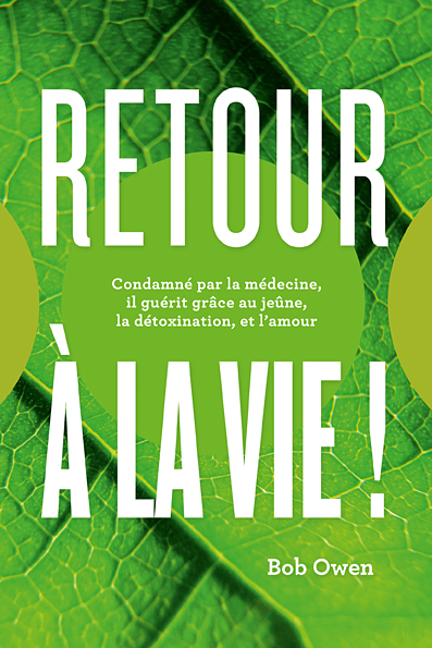 Book Cover Design by miklosgrafik for Ahmara | Design #9925486