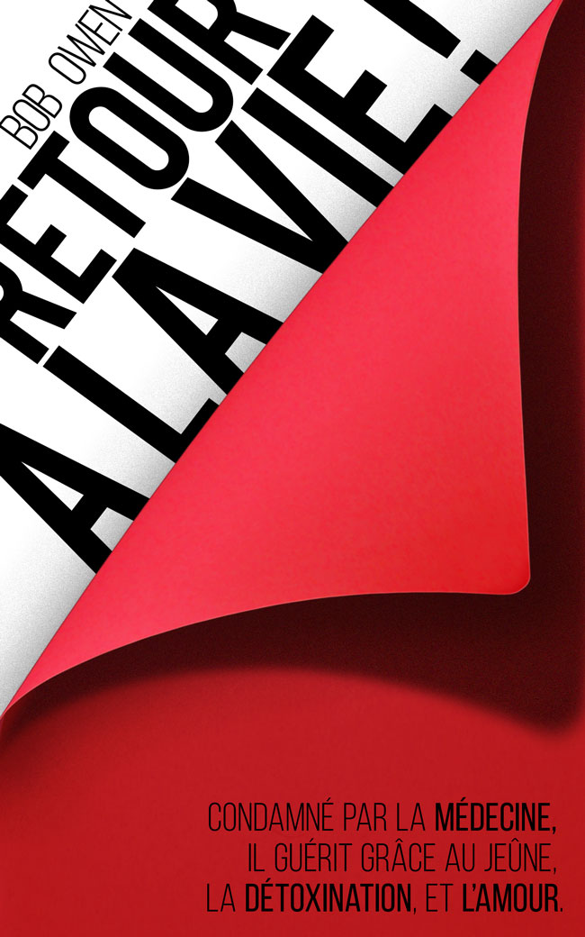 Book Cover Design by blankezza for Ahmara | Design #9904090