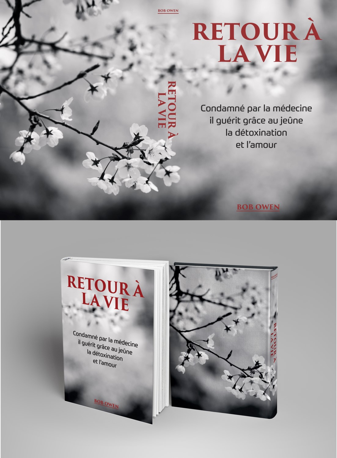 Book Cover Design by DG for Ahmara | Design #9926554