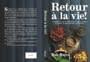 Book Cover Design by Sarah Lapallo Beck