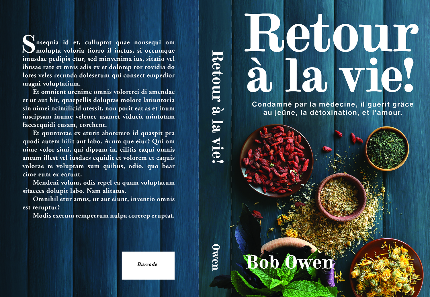 Design de Couverture de Livre par Sarah Lapallo Beck pour Ahmara | Design #9885591