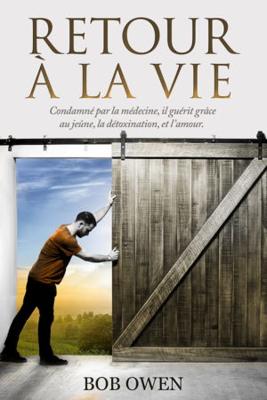 Design de Couverture de Livre par Tatlin pour Ahmara | Design #9903421