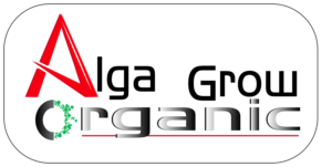 Logo Design by manojmaduranga42