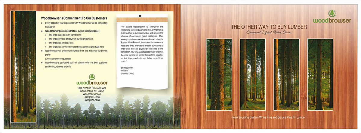 Brochure Design by dkthedon for this project | Design #2128725