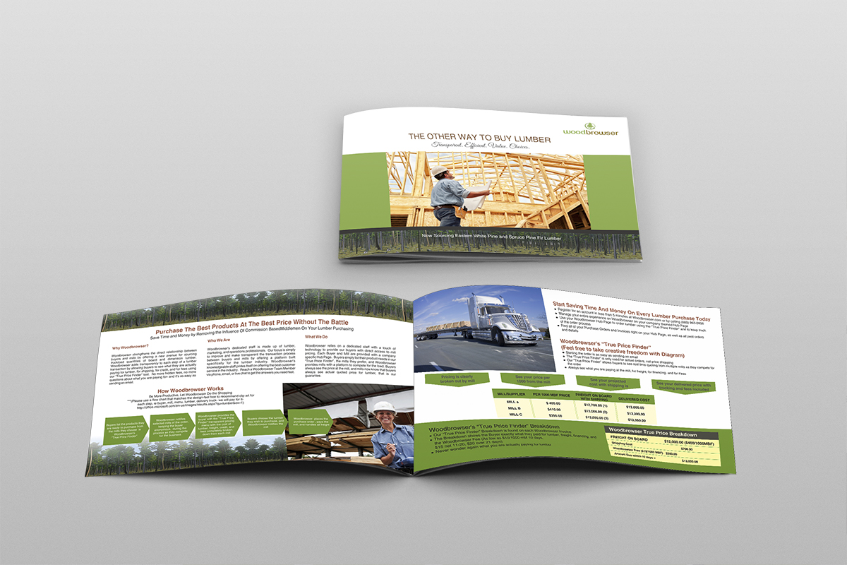 Brochure Design by dkthedon for this project | Design #2132448