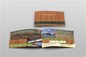 Brochure Design by dkthedon for this project | Design: #2132462