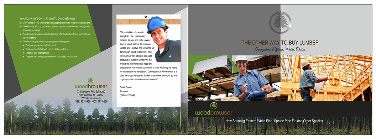 Brochure Design by dkthedon for this project | Design #2136970