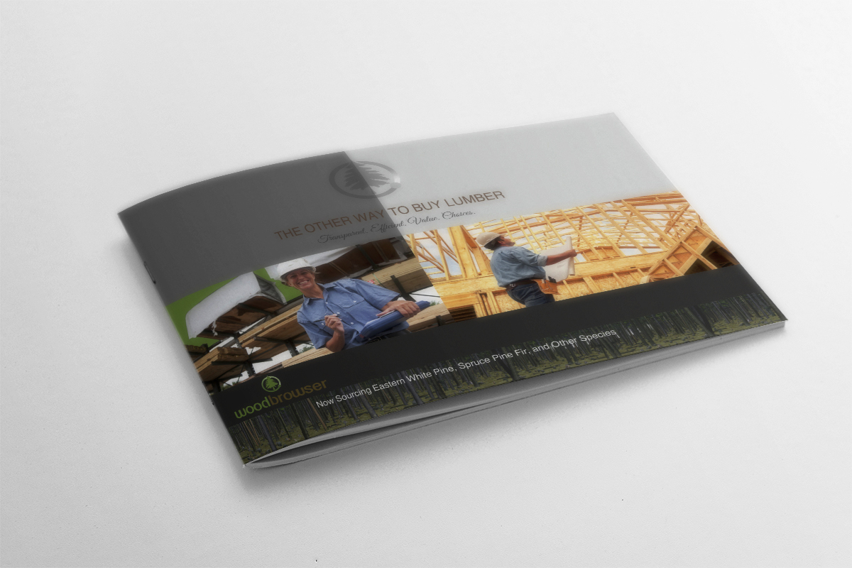 Brochure Design by dkthedon for this project | Design #2136977