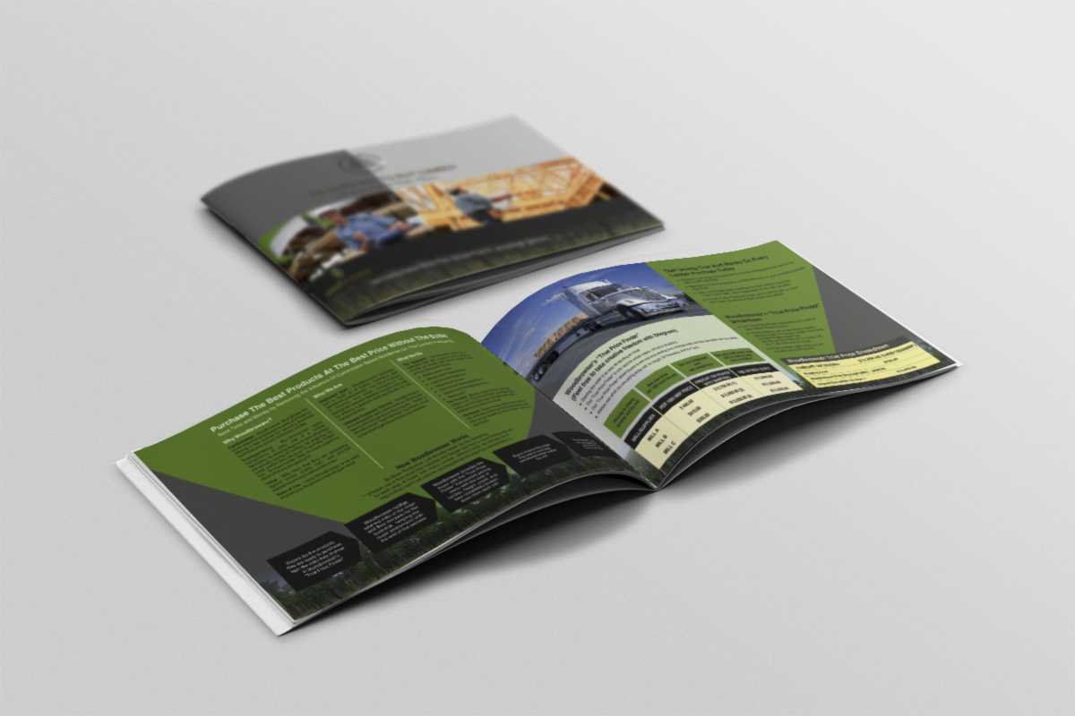 Brochure Design by dkthedon for this project | Design #2136986