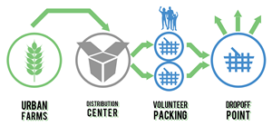 Graphic Design by Seamus Radu for this project | Design: #2120732