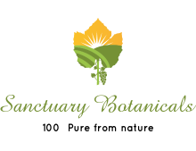 Logo-Design von Peachey's Design 2024 für B the change | Design #2126159