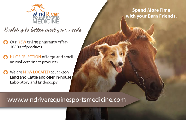 Postcard Design by TedAtkinson for Wind River Equine Sports Medicine | Design #9836142