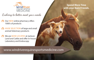 Wind River Equine Sports Medicine | Diseño de Postal por TedAtkinson