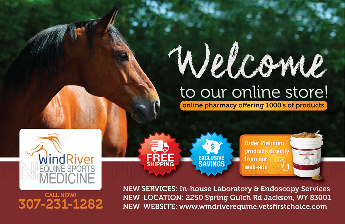 Postkarten-Design von Pinky  für Wind River Equine Sports Medicine | Design #9840796