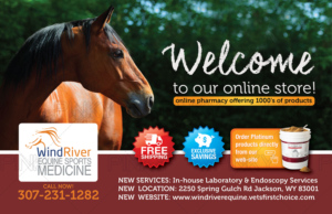 Wind River Equine Sports Medicine | Diseño de Postal por Pinky 