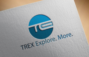 Logo Design by king solangi