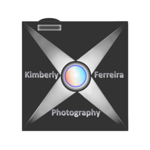 Logo Design by designerone