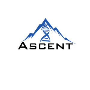 Logo Design by limuelcastro7