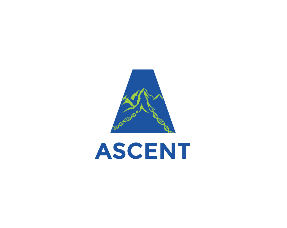 Diseño de Logo por creativea para este proyecto | Diseño #9948198