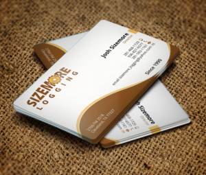 Business Card Design by Verified artistry for this project | Design: #9845516
