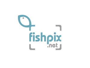 Logo Design by Adam Knights for Airfirshy | Design: #2121064