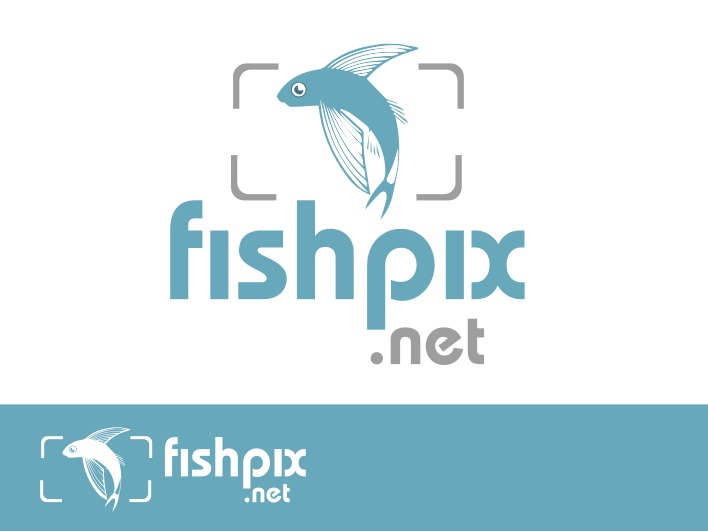 Design de Logo par Adam Knights pour Airfirshy | Design #2147467