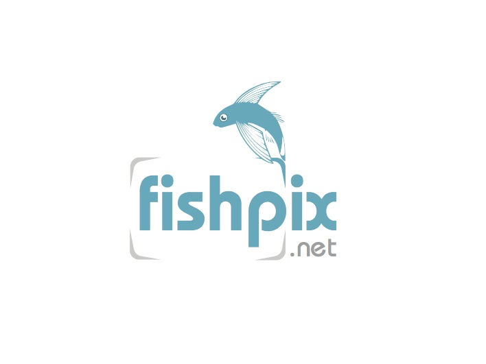 Diseño de Logo por Adam Knights para Airfirshy | Diseño #2148116