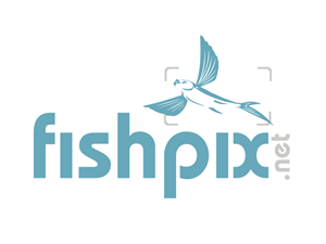 Logo Design by Adam Knights for Airfirshy | Design: #2148125