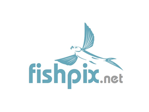 Logo Design by Adam Knights for Airfirshy | Design: #2148127