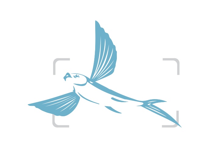 Diseño de Logo por Adam Knights para Airfirshy | Diseño #2148216