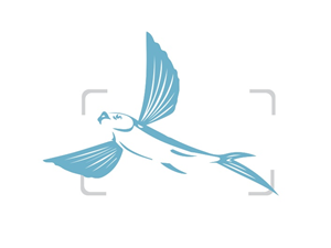 Logo Design by Adam Knights for Airfirshy | Design: #2148216