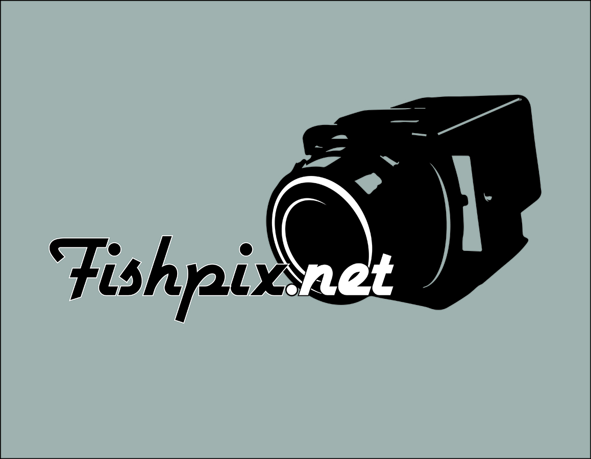 Diseño de Logo por jorjonanca para Airfirshy | Diseño #2126491